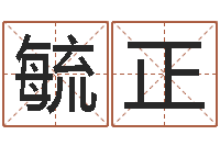 陈毓正益命解-四柱八字排盘下载