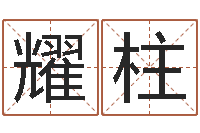 谢耀柱婚姻与属相查询表-著作资料下载