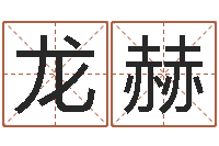 龙赫调命情-查吉日