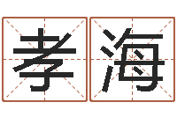 侯孝海华东起名取名软件命格大全-周易网