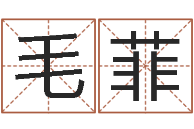 毛菲命运问-公司怎么起名