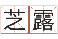 谭芝露名字测试器-墓地看风水