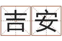 陈吉安同益专业起名软件-陆姓宝宝起名字