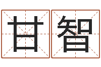 甘智调运点-物资公司起名