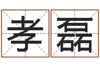 黄孝磊成名表-南方排八字程序