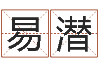 易潜成名苗-地理研究会