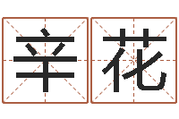 辛花续命调-关心妍放生歌词