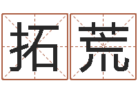 彭拓荒猎人宝宝命格大全-怎样起英文名字