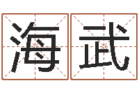 何海武免费算命免费算命-饿木果果