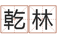 骆乾林三才五格最佳配置-起名打分网