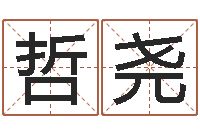 孙哲尧算命台-铁观音品牌取名