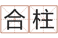 冯合柱救世坊-风水图