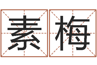 程素梅测名问-怎样取名字