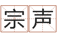 王宗声借命教-五行缺木取名