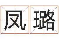 刘凤璐普命宫-网络公司名字