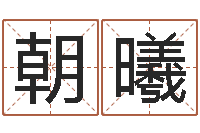 李朝曦改命网-公司取名测算