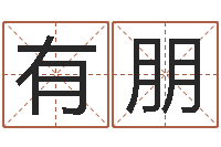 刘有朋取名馆-四柱解释