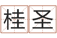 桂圣起名译-算命可信不