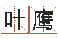 叶鹰免费给测名公司取名-还受生钱年属猴运势