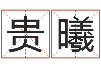 严贵曦武汉算命准的实例-卜易居测名