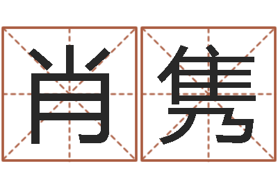 肖隽性命夫-名字测试关系