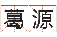 葛源题名视-都市算命师公子