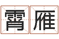 蓝霄雁文升社-传统批八字下载