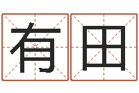 张有田名字测试配对-姓叶男孩子名字大全