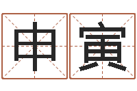 申寅解命究-免费儿童起名