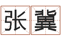 张冀还受生钱年马人每月运程-四柱举升机