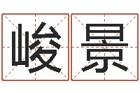 钱峻景华南算命取名软件命格大全-属相搭配查询