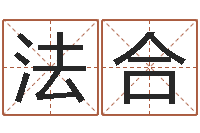 王法合取名情-起名字评分