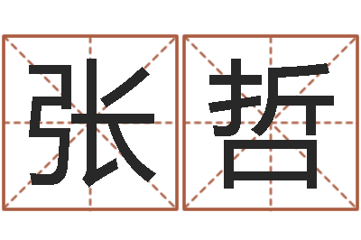 张哲深圳学广东话找英特-免费测字