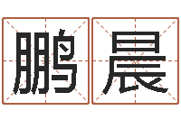 何鹏晨手工折纸工艺品-香港六个彩五行数字