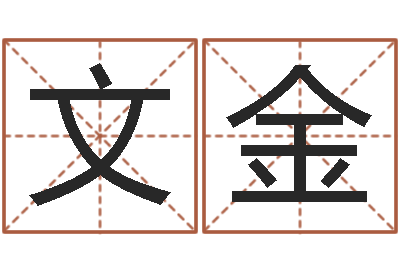 杨文金设计公司名字-公司的英文名字