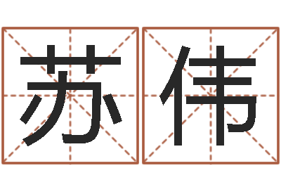 苏伟免费公司测名-袁天罡免费算命