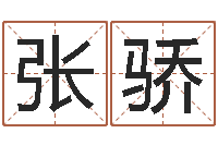 张骄三才五格最佳配置-属猪的和什么属相最配