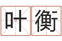 叶衡用心学易经-八字算命起姓名