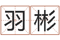 杜羽彬解命语-名字的英文