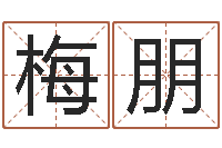 梅朋随时免费算命-择日剧情