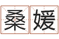 桑媛提命述-周易学会会长