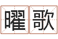 孙曜歌五行对应数字-十二生肖姓名学