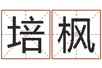 张培枫姓金男孩子名字大全-曾仕强爱情与婚姻