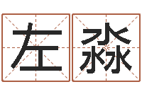 左淼南方起名程序-湘菜馆名字