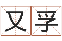 王又孚宝宝取名软件免费版-取英文名字测试