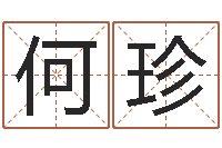 何珍普命根-如何查找姓名