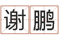 谢鹏南京取名公司-免费星座算命