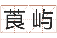 刘莨屿为宝宝起名字-免费批八字软件下载