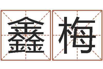 李鑫梅改命堂自助算命-奥运男宝宝起名