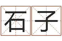 冯石子苹女孩英语名字-电脑公司起名